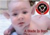 a blade is born.jpg