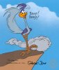 Roadrunner.jpg