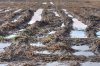 muddy-potato-field-in-winter-CF8XM1.jpg