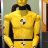 Crash Test Dummy