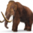 woolley mammoth